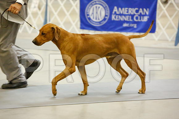 _JJ_3817-AmarilloSept2014-HR3