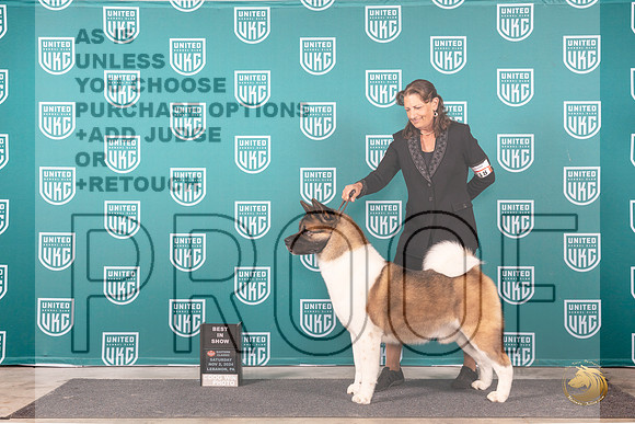 Akita #218 Sat BIS Judge Kathy Russell r__JP_2253_UKCEastern_2024_HR3