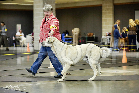 _RH_1512-BeltonJan2015IABCA-HR3