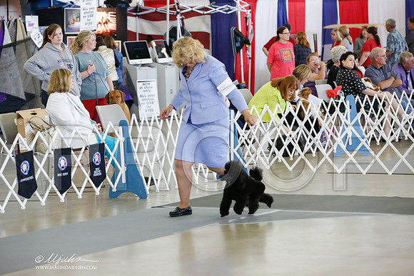 _JJ_7211-DallasJul2014-HR3