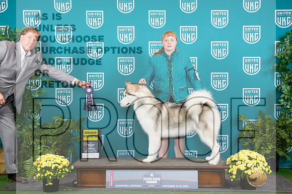 Alaskan Malamute #127 Thur Sat__JP_2724_UKCTDI2024_HR3