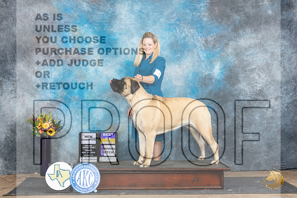 Mastiff #10 Fri WBBOBCH Judge Rick Gschwender__JP_0003_Abilene_2024_HR3