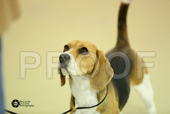 beag-0276-HtoJan14-HR