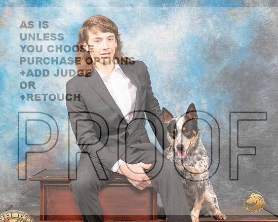 Australian Cattle Dog CheekieMMJ_4893_Mdlnd2022_HR3