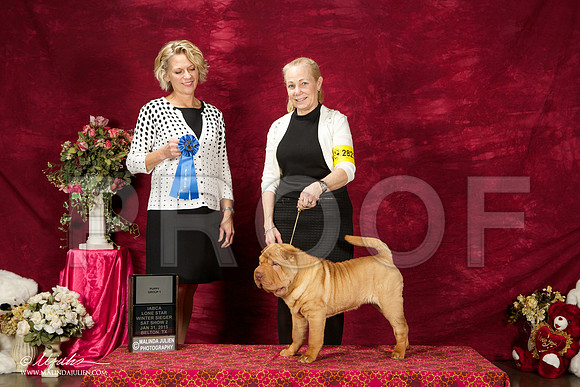 _ST_2656-BeltonJan2015IABCA-HR3