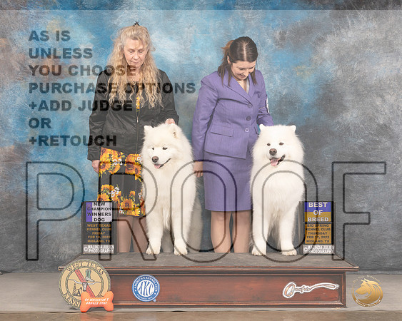 Samoyed #7 BOB #17 Fri WD Judge Del RichardsMMJ_3088_Mdlnd2022_HR3