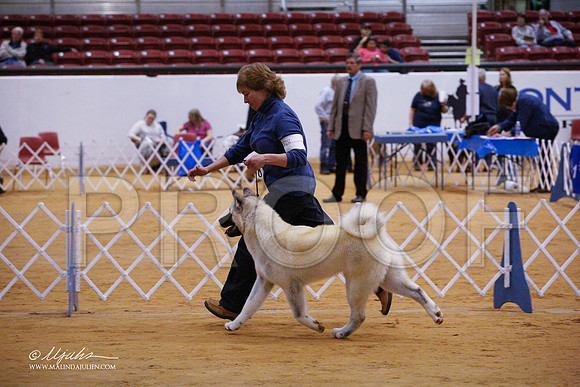 Akita-3464-GRJan14-HR
