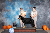 Beauceron #5 Sat SD Judge Ray Filburn