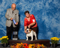 Bulldogs #5 Sun BOW Campbell Carol Judge Mr Gary L Andersen