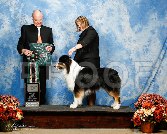 _J3L5888-2-ASCAnov2014-HR3