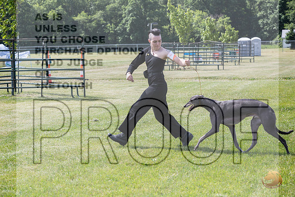 Greyhound #104 Wed_JJL_1689_Premier_2024_HR3