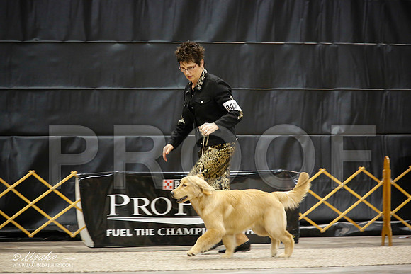 6-9PupB-0027