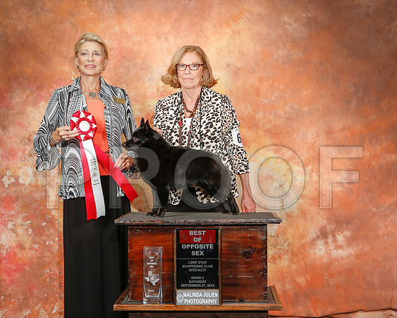 _ST_2531-2-CarlrolltonSept2014-HR3