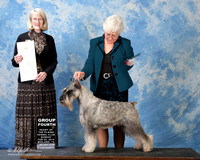 Standard Schnauzer #9 Sun G4 +A2