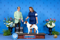 Brittany #8 THUR BOW BOS NC M Judge Douglas Johnson