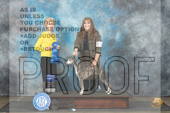 Whippet #8 Sun G1 Judge June Penta__JP_4082_Lubbock_2024_HR3