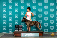 Dutch Shepherd #607 Sat COCTDNGRCH Judge Rick Gann