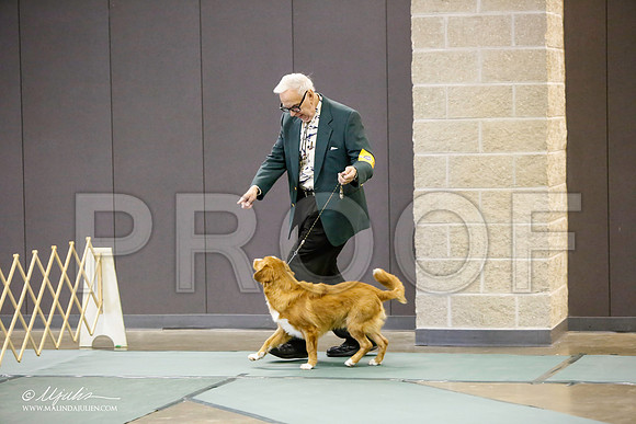 _LH_3090-BeltonJan2015-HR3
