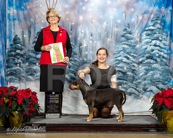 _ST_8173-DallasDec2014-HR3