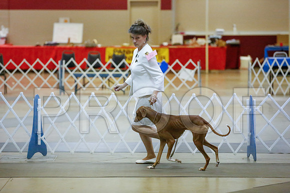 _JN_9051-AmarilloSept2014-HR3