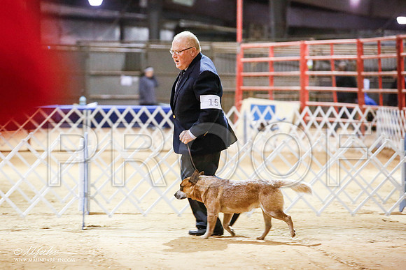 _JN_4040-2-GlenRoseJan2015-HR3