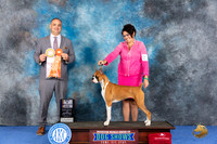 Boxer #10 WED BISw Judge Chris Leitkowski