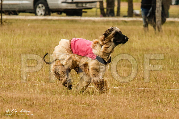 _MJ_4848-AfgBeltonOct2014-HR3