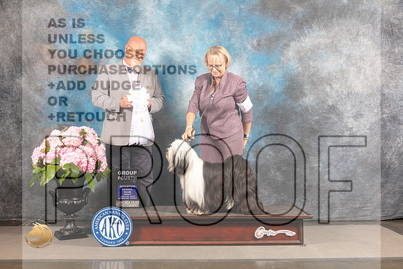 Tibetan Terrier  #10 FRI G4 Judge Jeffery Bazell_MJ_5831_Houston_2022_HR3