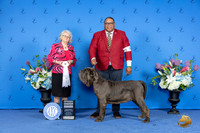 Mastiff #? SAT G4 Judge Annella Cooper