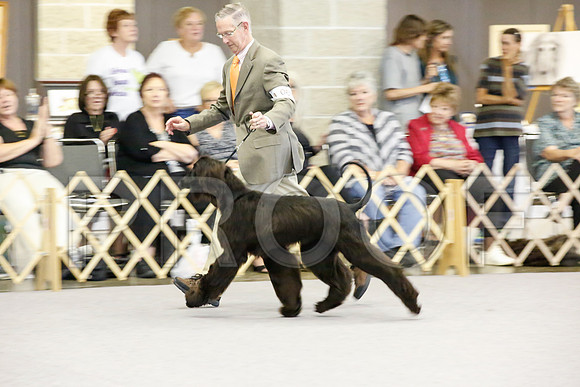 _JJ_2528-AfgBeltonOct2014-HR3