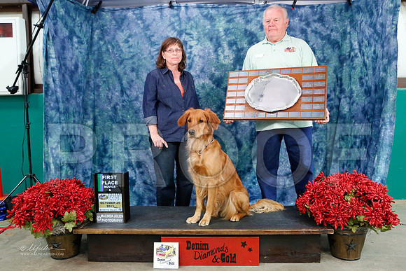 BegNovA-4436-WFOct2013-HR
