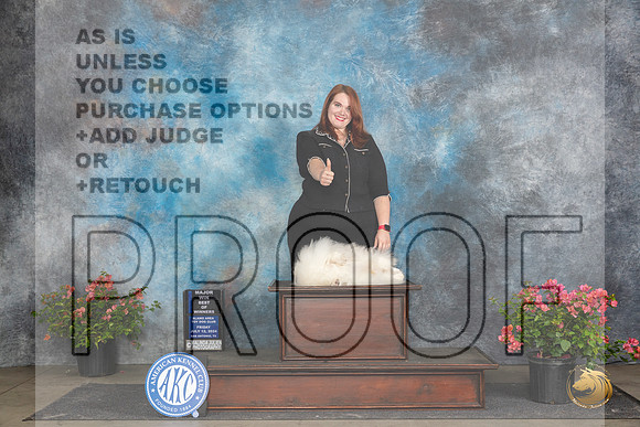 Pekingese #5 Fri WDBOWM Judge Azalea Alvarez__JP_4454_San Antonio_2024_HR3