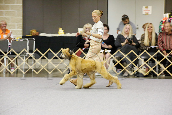 _JJ_9228-AfgBeltonOct2014-HR3
