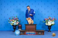 Pomeranian #15 FRI G2 Judge Sandra Lex