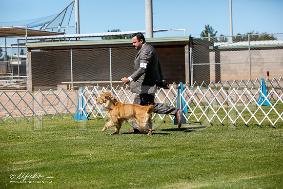 _JJ_4888-AlamogordoOct2014-HR3