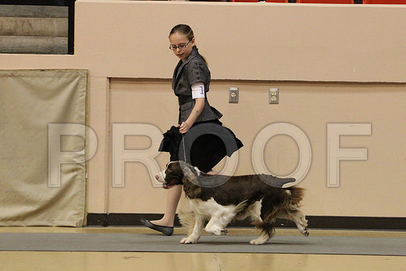 MJS_3128