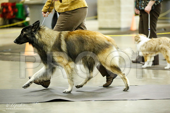 _JJ_7051-BeltonJan2015IABCA-HR3