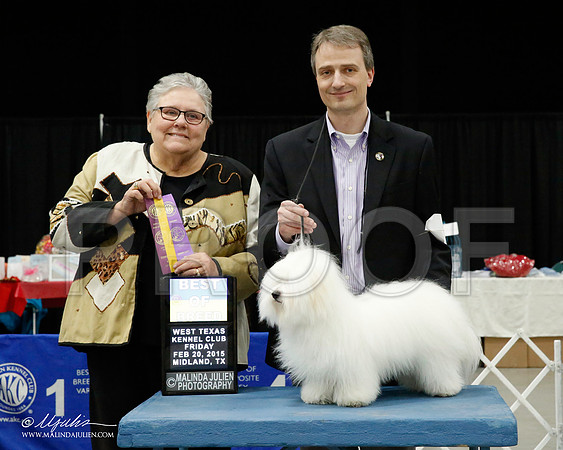 _CL_6020-BeltonJan2015IABCA-HR3
