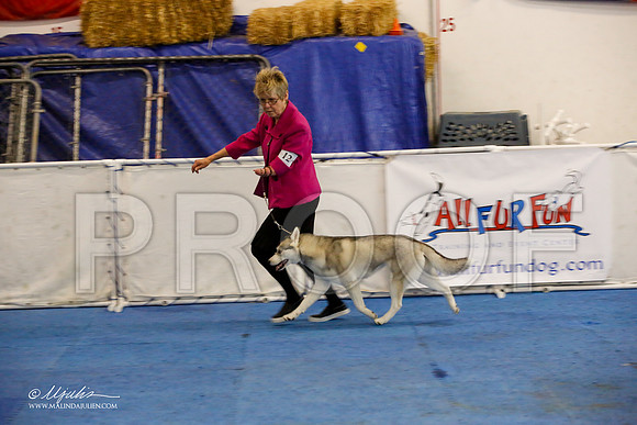 _M3_0615-AddisonHuskyMar2015-HR3
