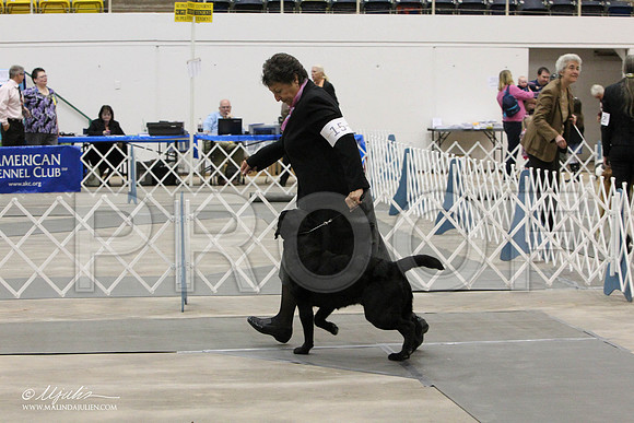 AQ5G0058-Abilene2011-HR3