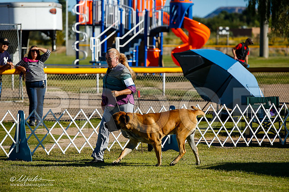 _JJ_9036-AlamogordoOct2014-HR3