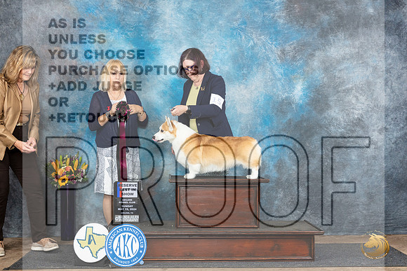 Pembroke Welsh Corgi #15 Sun RBIS Judge Edy Blum__JP_0178_Abilene_2024_HR3