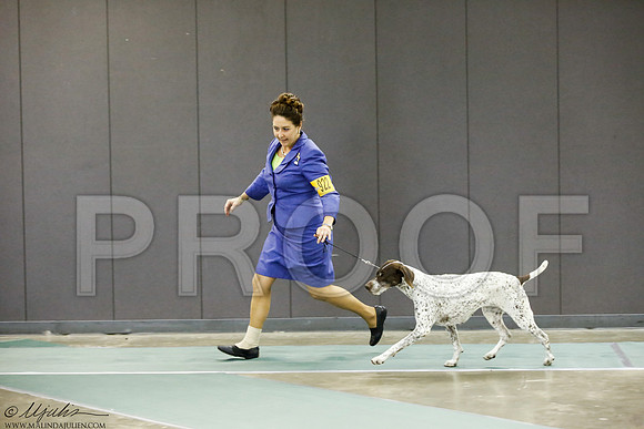 _J3L9271-BeltSep2014-HR