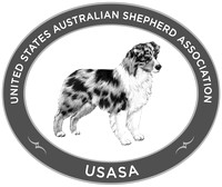 United States Australian Shepherd Association Specialty, Glen Rose Tx Jan 3, 2014