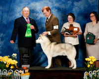 #9 Sun Best Vetran Bruce Barnes Margi Brand Johanna Coutu & Lauren Jordan  Judge Dr Donald Gill