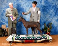 Xolo #7 Fri BOB New Ch