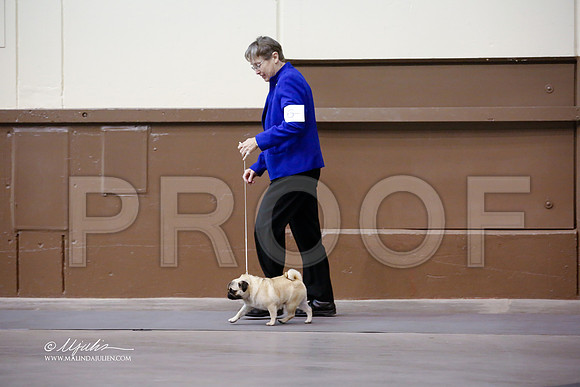 pug-2840-SANov13-HR