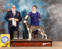 Saluki #22 Fri SBBJr Judge Bryan Martin