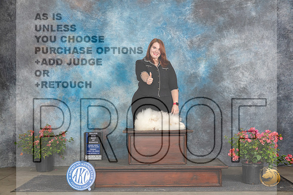 Pekingese #5 Fri WDBOWM Judge Azalea Alvarez__JP_4455_San Antonio_2024_HR3