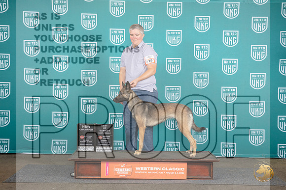 Belgian Shepherd #429 Sun BOV NCH Judge Matt Proctor__JP_1664_Longview WA_2024_HR3